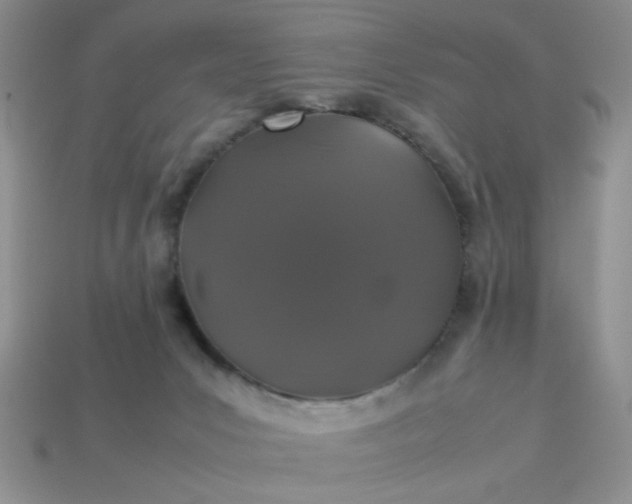 X0000113010031200909101827