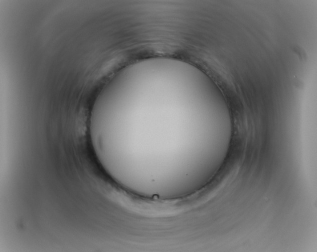 X0000113010032200909101827