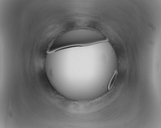 X0000113010033200909101827