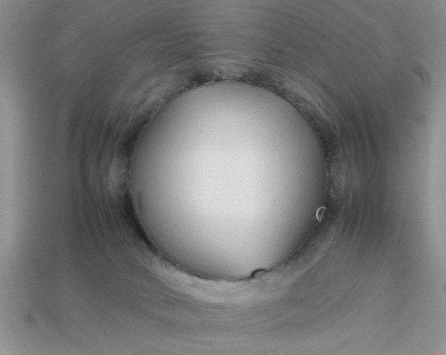 X0000113010034200909101826