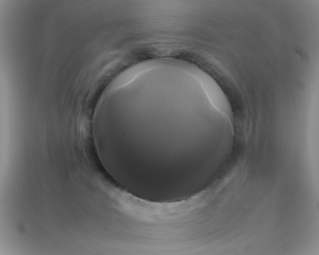 X0000113010035200909101826