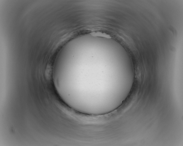 X0000113010036200909101826