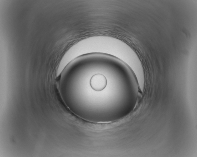 X0000113010037200909101826