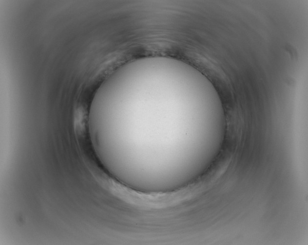 X0000113010038200909101826