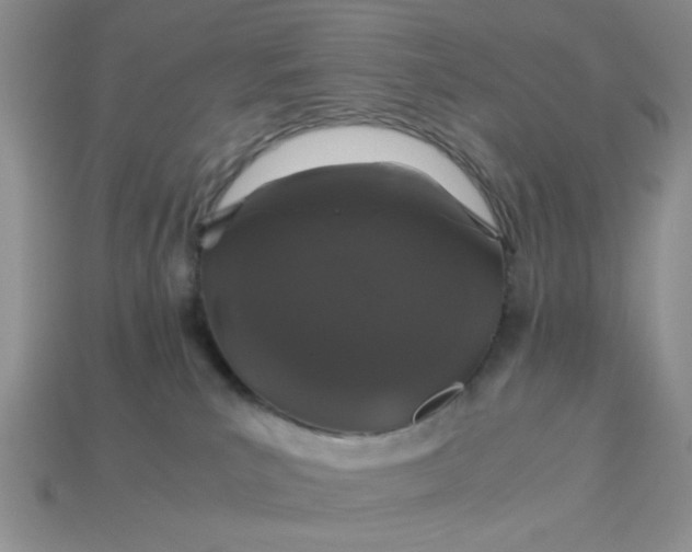 X0000113010039200909101826