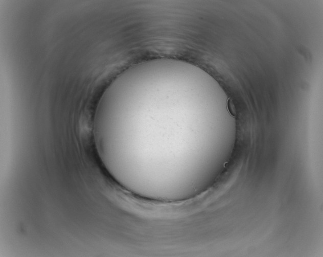 X0000113010040200909101826