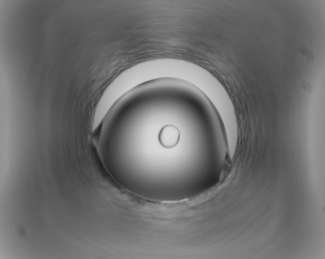 X0000113010041200909101826