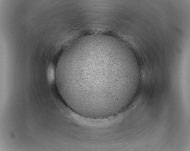 X0000113010042200909101826