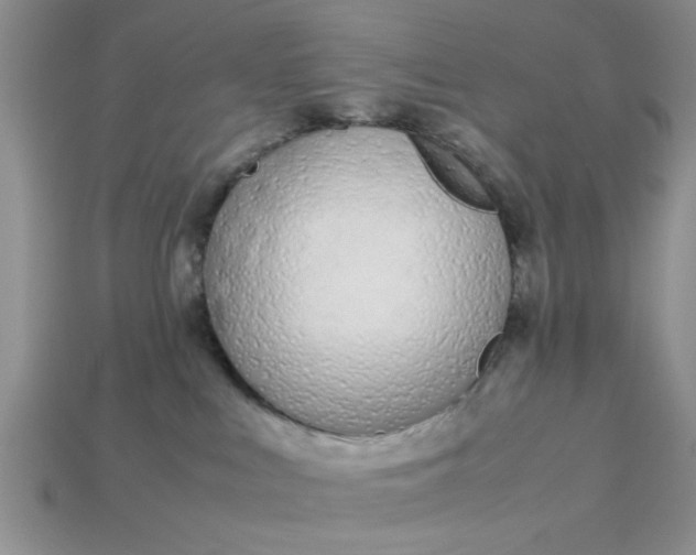 X0000113010043200909101826