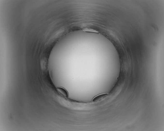 X0000113010044200909101826