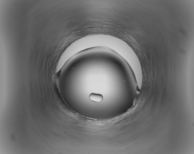 X0000113010045200909101826