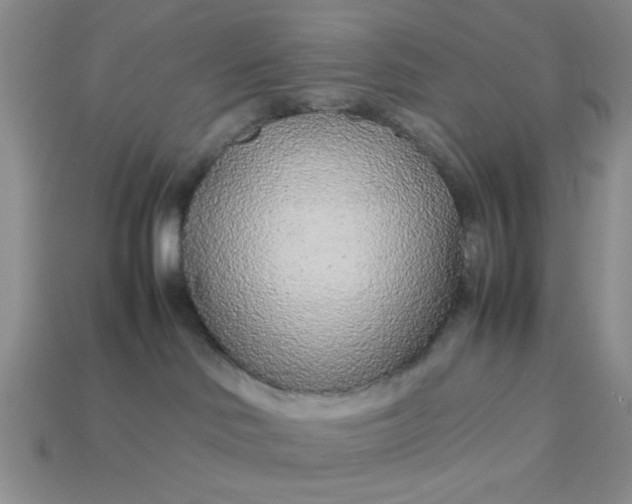 X0000113010046200909101826