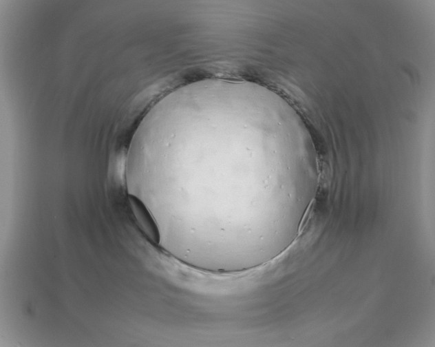 X0000113010047200909101826