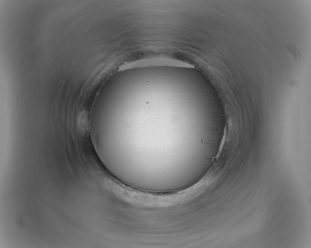 X0000113010048200909101826