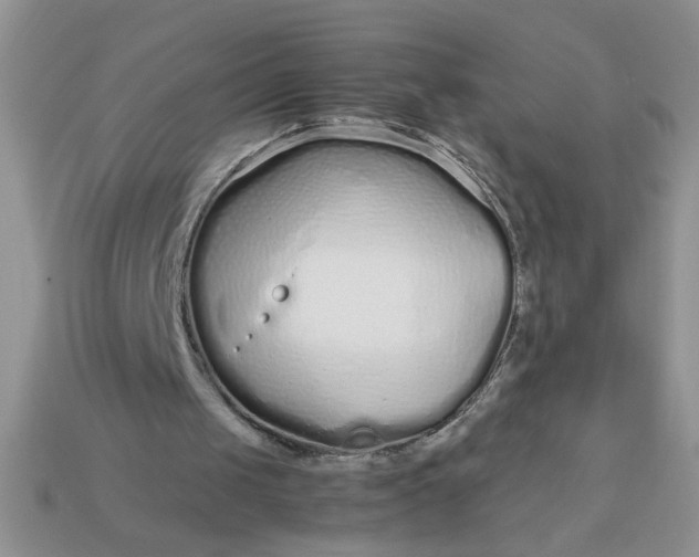 X0000113010049200909101826