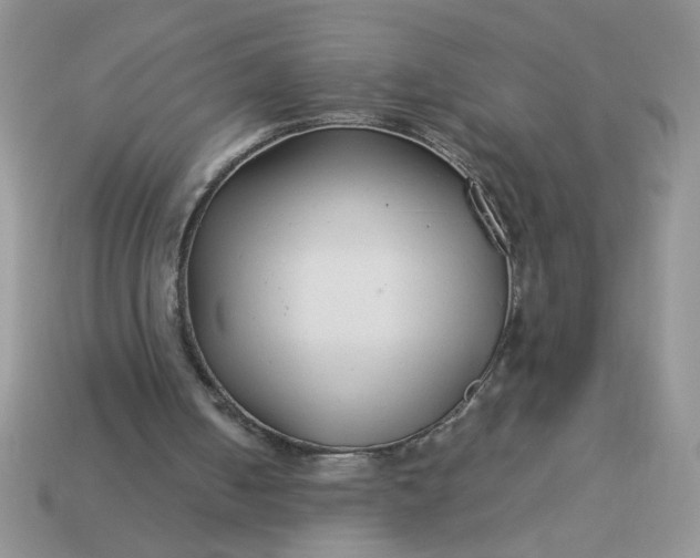 X0000113010050200909101826