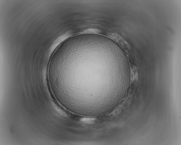 X0000113010051200909101826