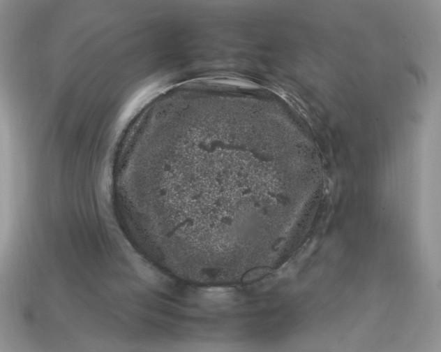 X0000113010053200909101826