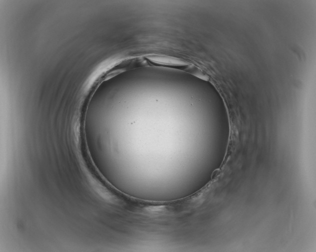 X0000113010054200909101826