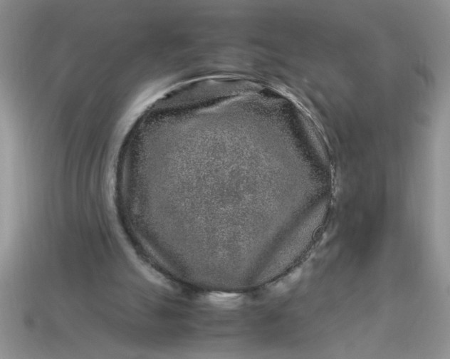 X0000113010055200909101826