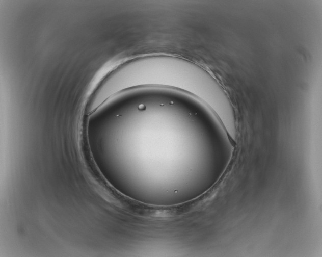 X0000113010056200909101826