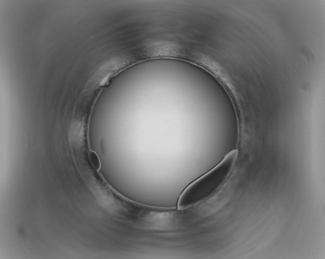 X0000113010057200909101826