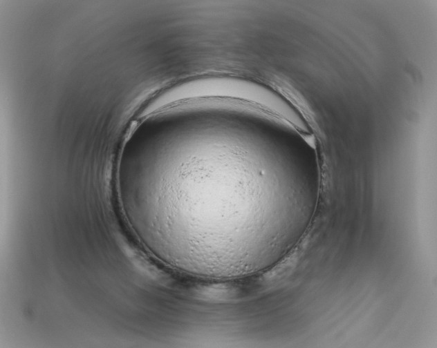 X0000113010058200909101826