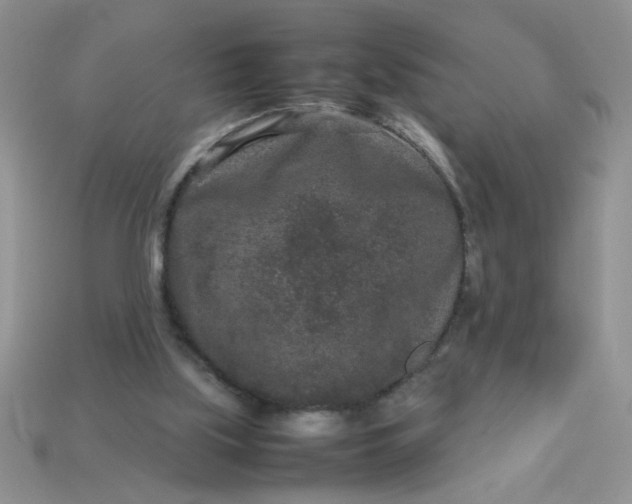 X0000113010059200909101826