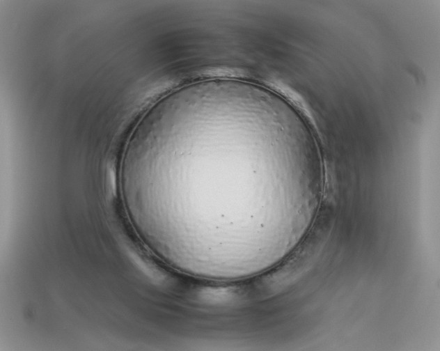 X0000113010061200909101826