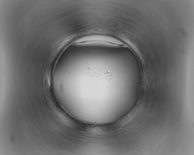 X0000113010062200909101826