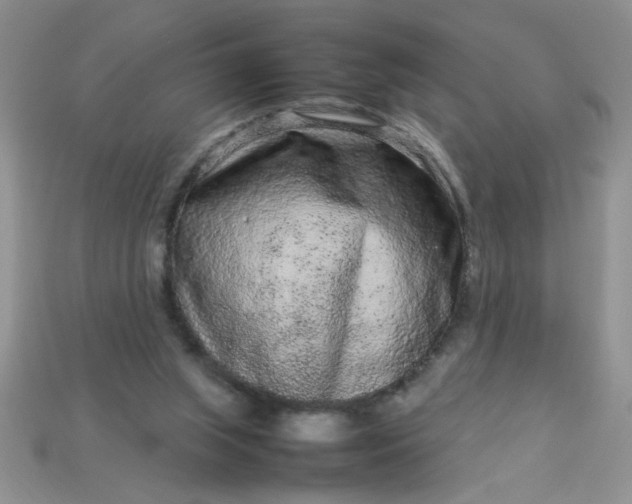 X0000113010063200909101826