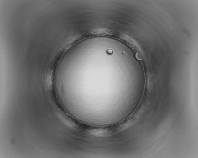 X0000113010065200909101826