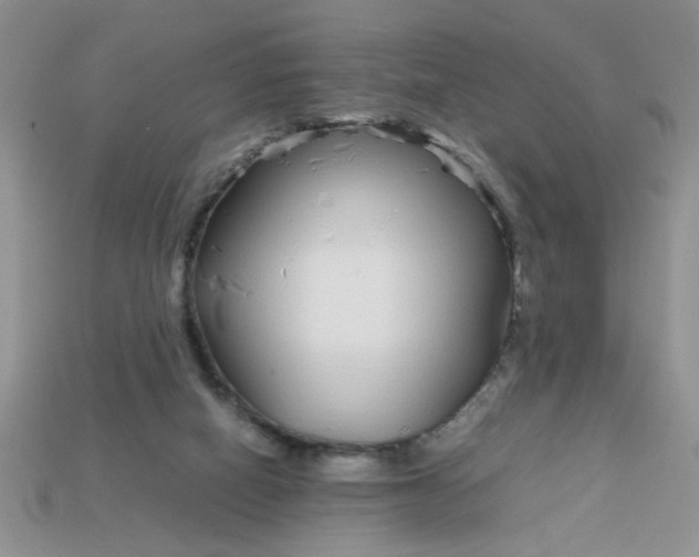 X0000113010066200909101826