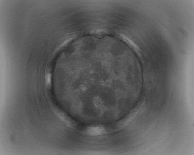 X0000113010067200909101826