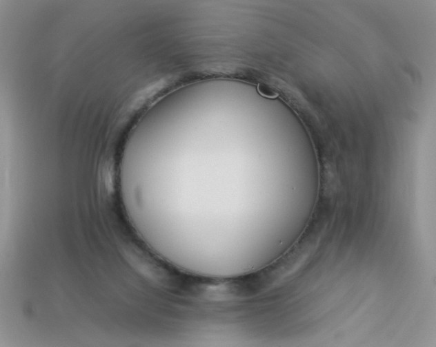 X0000113010068200909101826