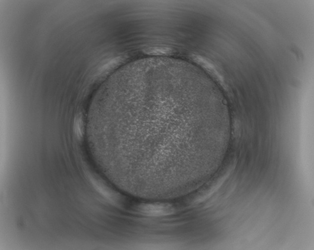 X0000113010069200909101826