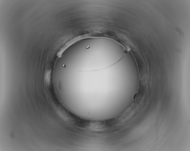 X0000113010070200909101826