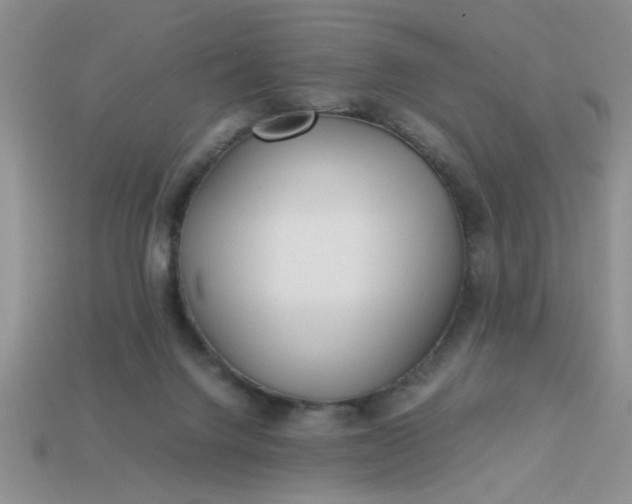 X0000113010072200909101826