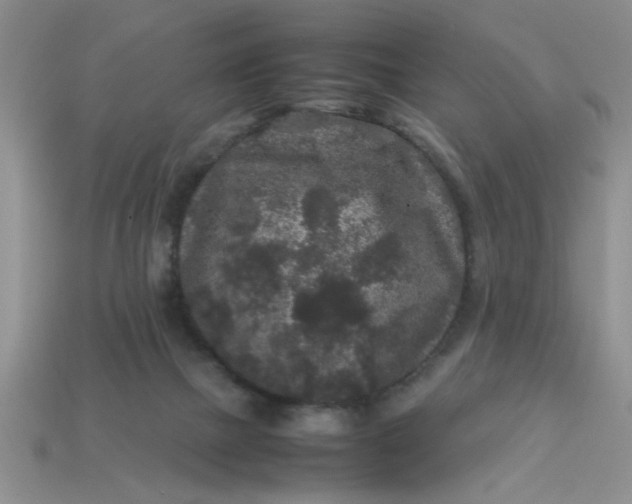 X0000113010073200909101826