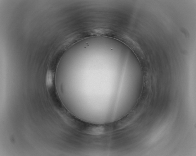 X0000113010075200909101826