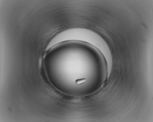 X0000113010076200909101826