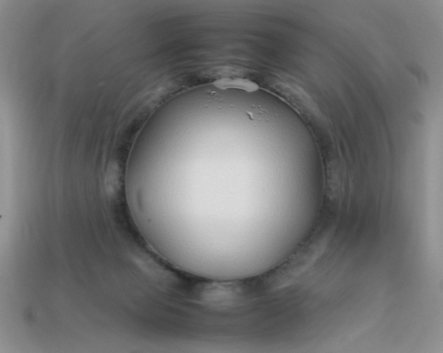 X0000113010077200909101826