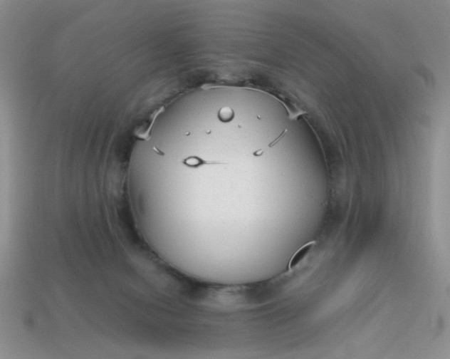 X0000113010078200909101826