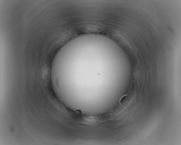 X0000113010079200909101826