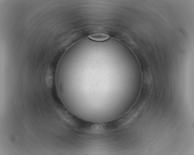 X0000113010080200909101826