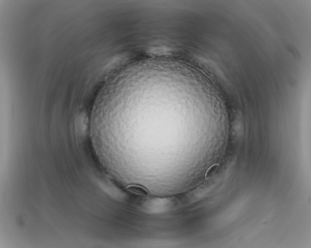 X0000113010081200909101826