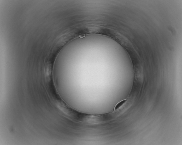 X0000113010082200909101826