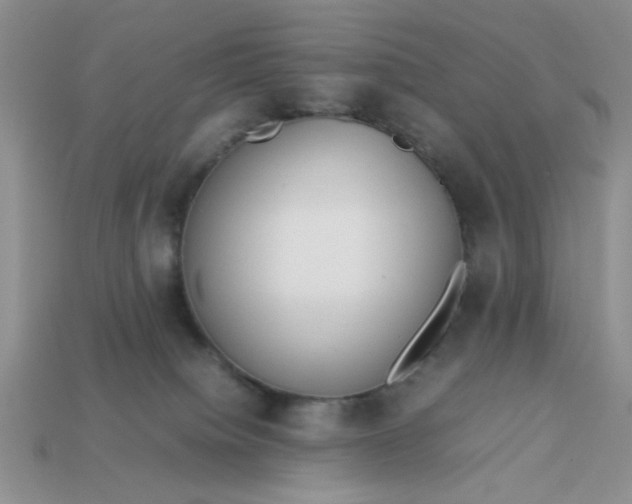 X0000113010084200909101826