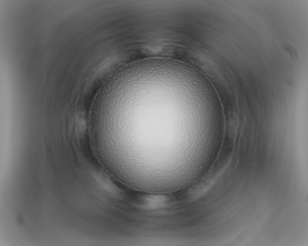 X0000113010085200909101826