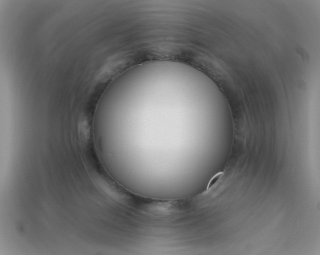 X0000113010086200909101826